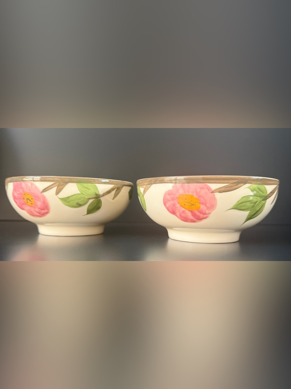 Franciscan Desert Rose Oatmeal Bowls Set of 2 Made in England Pink Bowl